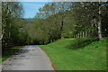 Road beside the remains of Llwynau Church in NP15 1LR