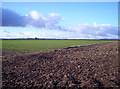 Fields Near Muirside  of Aldbar in DD9 6SX