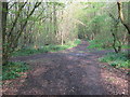 Bridleway junction in Stacklands Wood in TN15 6AN