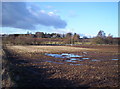 Wet Field with Turin House Behind in DD8 2UF