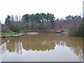 The pond, Savernake Park, Bracknell in RG12 0XX