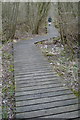 Boardwalk near Cockshoot Broad in NR12 8PT