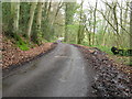 Country road from Bedham Copse to the A272 in RH20 1JR