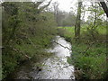 Romford, River Crane in BH31 7LG