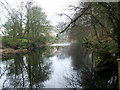 View along the River Nidd in HG5 8BH