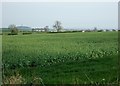 Farmland near Marston Lane in ST18 9SY