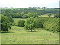 View near Belcombe, Blackdown Hills in TA20 3HZ
