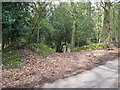Entry to Lithersgate Common from the south in RH20 1JW