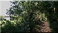 Footpath near Old Barn Lane in GU10 2NA