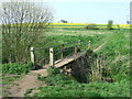 Footbridge On Spring Meadow in IP22 1DG