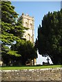 Church Tower - St Peter and St Paul Muchelney in TA10 0DG