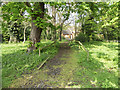 Woodland path, Whitewebbs, Enfield in EN2 9JN