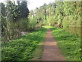 Canal towpath by Whittington South Staffs in DY7 6JU