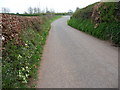 Mid Devon : Bolham Lane in Tiverton
