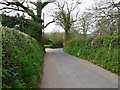 Bolham : Bolham Lane in Tiverton