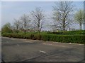 Landscaping at Glasgow Business Park in G69 6QR