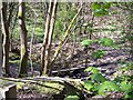 Footbridge in Dean Wood in WN8 0LR