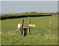 Well-marked stile north of Shuckborough in NN11 6EA