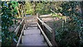 Footbridge over River Wey tributary near Spreakley in GU10 3BW