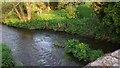 River Wey and garden seen from bridge on the A287 in GU10 3DU