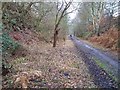 Disused railway cutting, Blackbrook Wood, Shepshed, Leicestershire in LE12 9WS