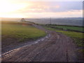 Farm Track, Elslack Moor in BD23 3AT