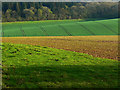 Farmland south of East Croft Coppice in SN8 2EU