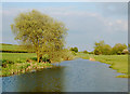 River Leam, east of Birdingbury (1) in CV23 8EL