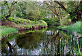 River Leam, east of Marton in CV23 9TP