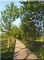 Tree lined farm track in IP14 3NA