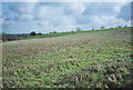 Fields Behind the Book Barn Looking Towards Hallatrow in BS39 6EY