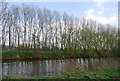 Trees along the riverbank, River Medway north of Yalding in ME18 5HF