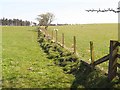 Fields and fence near Bavington Mount in NE19 2BD