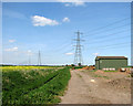 Power lines and rape seed field in PE14 8PT