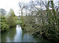 2009 : River Chew near Chewton Place in BS31 2SW