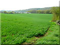 View to Laine's Farm in GL17 0DP
