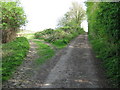 Footpath junction near Provender Farm in ME13 0ST