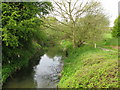 Looking upstream on the Great Stour in TN23 2ZA