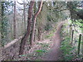 Footpath alongside woodland south of Acomb in NE46 4NH