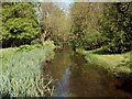 The River Blackwater as seen from the old mill in CM8 3EU