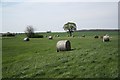 Last year's hay in LN8 5NW