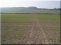 Footpath down across the field in OX10 6QA