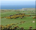 Participants in a pony club outing on the Mynydd y Garn road in Cylch-y-Garn Community