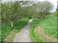 View along the Stour Valley Walk in TN23 2ZA