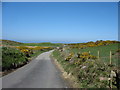 The Mynydd y Garn road north between Aelwyd Uchaf and Waen-lwyd in Cylch-y-Garn Community