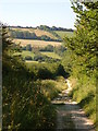 Bridleway near Osmington in DT3 6EL
