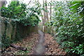 Footpath off Warwick Park approaching Birling Park Avenue in TN2 5HP