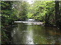 River Bovey near Parke Bridge in TQ13 9NB