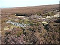 Dam across a moorland stream, Thurlstone Moors in S36 4AF
