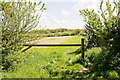 Footpath from Forest Lane to Bere Farm in PO17 6HU